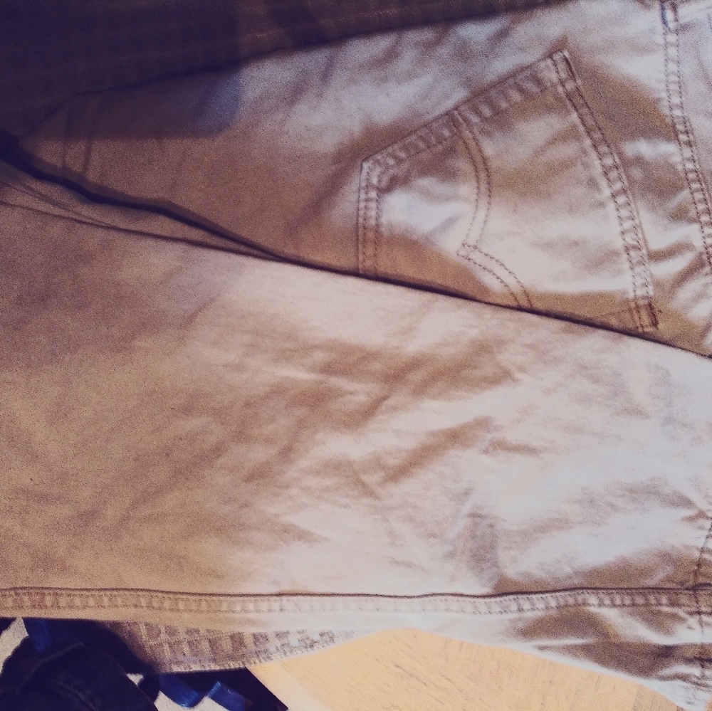 Levis mens pants